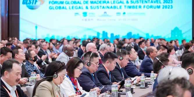 粤莱美胶条受邀出席2023全球合法与可持续木业高峰论坛