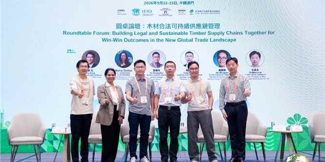 东威利|2026全球合法与可持续木业高峰论坛在澳门举行
